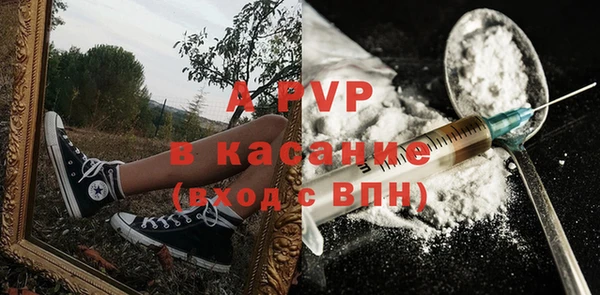 сатива Магас