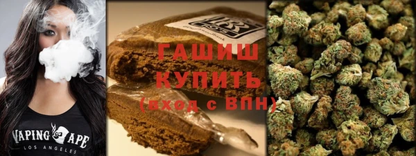 сатива Магас