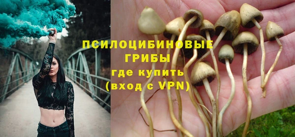 Альфа ПВП Медногорск