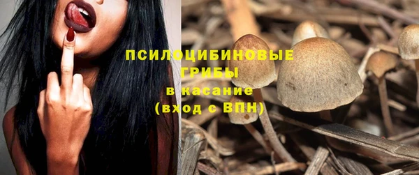 сатива Магас