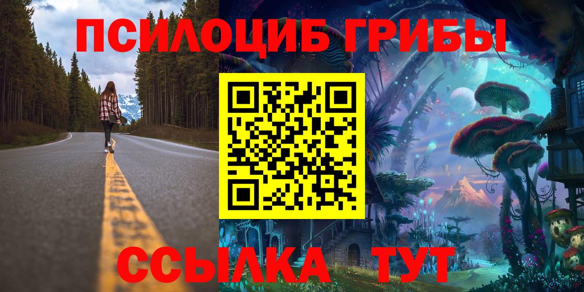 где купить наркоту  Галлюциногенные грибы мухоморы  Псилоцибиновые грибы MAGIC MUSHROOMS  Вход с VPN  Нижний Тагил 